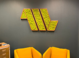The Async7 office